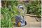 AUTO REEL MOBILE - OLD - Auto Reel Mobile Hose Cart with 35m Garden Hose Pipe