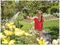 2697 0000 - Garden Hose Lance Spray Plus 90 - Spray Gun