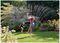 100-100-250 - 220m² Rectangular Sprinkler Plus M for Garden Hose