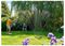 100-100-263 - 220m² Rectangular Sprinkler AquaSave Pro M for Garden Hose