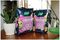 10200089 - Orchid Compost Potting Mix, 4L