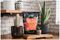 10200094 - Cacti & Succulent Compost Potting Mix, 4L