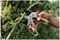 70100606 - SureCut Hard Wood Ratchet Secateurs