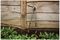 70100432 - SureCut Adjustable Height Lawn Edging Shears