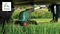 UNIVERSALGRASSCUT 18V-26-500 (1X2.0AH) - 26cm 18V 1x 2Ah Li-Ion Cordless Grass Trimmer Kit