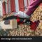 GE-PS 18/15 LI BL-SOLO - Power X-Change 12.5cm 18V Li-Ion Cordless Pruning Chainsaw - Bare Unit