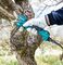 DUP180RT - 18V LXT 1x 5Ah Li-Ion Cordless Pruning Shear Kit