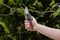 70100380 - Traditional All Purpose v Garden Secateurs