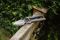 70100385 - Traditional Hard Wood Anvil Garden Secateurs
