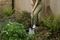 70100203 - Carbon Steel Garden Digging Spade