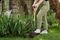 70100218 - Carbon Steel Garden Border Fork
