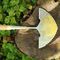 70100068 - Stainless Steel Garden Edging Iron