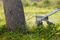GRT 18V-33 (BARETOOL) - 33cm 18V Li-Ion Cordless Grass Trimmer - Bare Unit