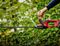 GC-CH 18/50 LI-SOLO - Power X-Change 50cm 17mm Gap 18V Li-Ion Cordless Hedge Trimmer - Bare Unit