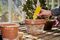 ZER017 - Plant Pot Bug Traps - 5 Pack