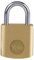 Y110B/40/122/1 - 40mm Standard Security Brass Padlock