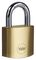 Y110B/40/122/1 - 40mm Standard Security Brass Padlock