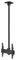 7350073738885 - M Ceiling Mount Pro TV Mount, 24" to 42" Screen, VESA 400