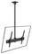 7350073735778 - M Ceiling Mount Pro TV Mount, 42" to 75"