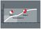 05059550001 - PH1 x 50mm Phillips BiTorsion Extra Tough Screwdriver Bit - 851/4 BTZ PH
