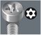 05138262001 - 367 TORX BO T20 x 100mm Screwdriver Tamperproof Security Torx Screws
