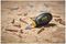 1-65-407 - PH2 x 30mm Stubby Phillips Screwdriver