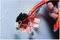 N819-4 - Voltage Tester & Torch Attachment