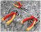 AV06051 - 1000V Insulated Plier Set, 3 Piece (Combination Plier, Side Cutters & Long Nose Pliers)