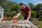 BEW210-GB - 125mm 230W Random Orbit Sander 230V