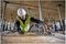 DCS579NT-XJ - 190mm 54V XR FlexVolt Cordless Rail Compatible Circular Saw - Bare Unit