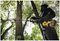 DCMASPS5N-XJ - 54V XR FlexVolt Brushless Splitboom Pole Saw Attachment - Bare Unit