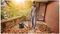 UNIVERSALVAC 15 - 15L 1000W Wet & Dry Vacuum Cleaner 230V