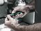 05051492001 - Kraftform Kompakt Ratchet Screwdriver Handle - 838 RA S