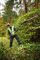 DCMPH566N-XJ - 55cm 18V XR Li-Ion Cordless Pole Hedge Trimmer - Bare Unit
