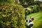 DCMPH566N-XJ - 55cm 18V XR Li-Ion Cordless Pole Hedge Trimmer - Bare Unit