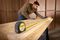 0-30-656 - 8m x 25mm Tape Measure with Tylon Blade