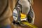 FMHT38215-5 - 5m x 32mm Xtreme Tape Measure