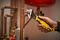 0-90-950 - 12" (300mm) Bi-Material Adjustable Wrench