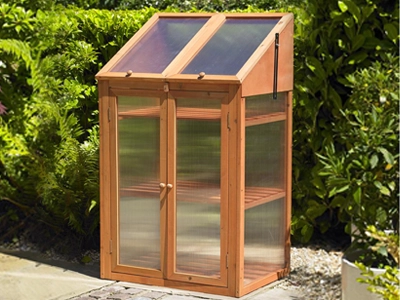 Plant Protection and Supports