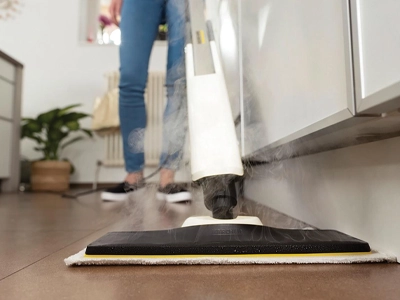 Steam Cleaners