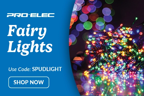 Pro-Elec Fairy Lights
