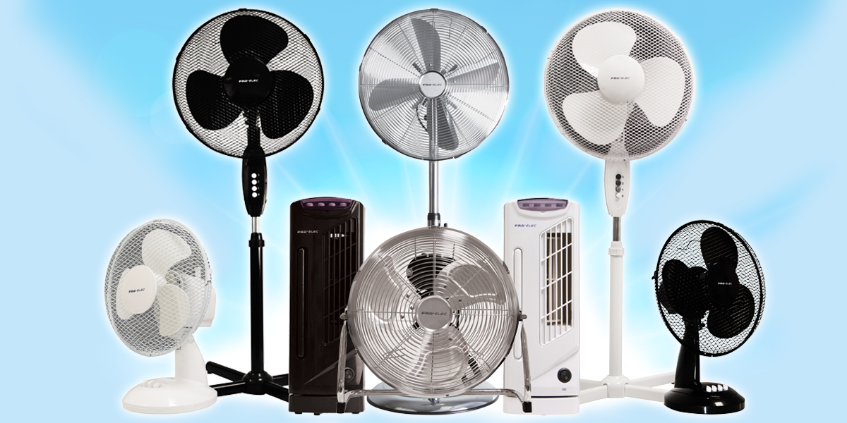 Your No1 Fan