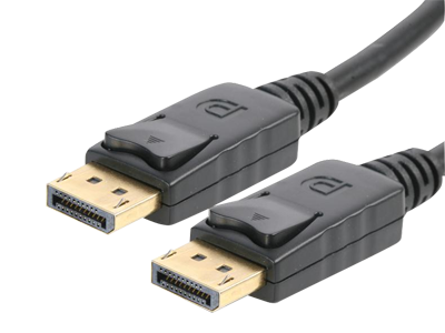 DisplayPort Leads