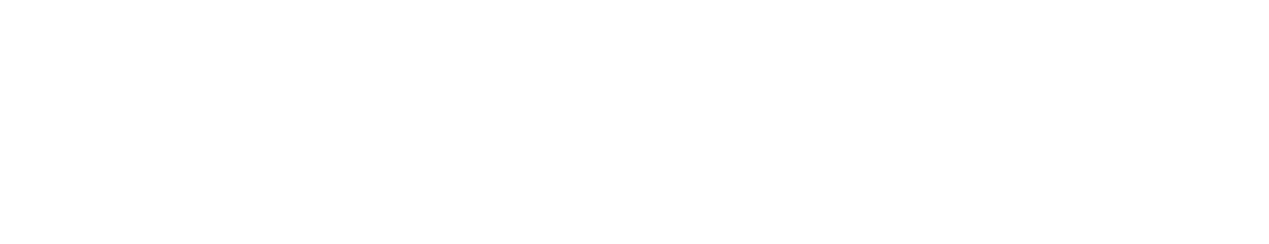 Brainboxes Logo