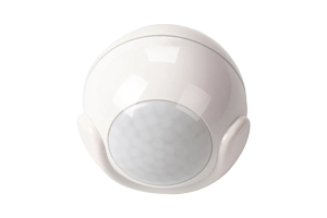 Security Systems