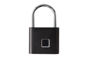 Padlocks & Chains