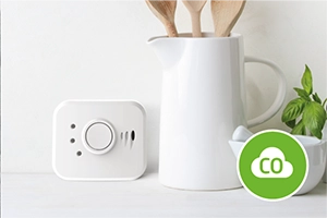 Carbon Monoxide Detectors