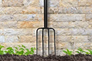 Garden Forks