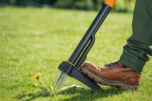 Weeding Tools