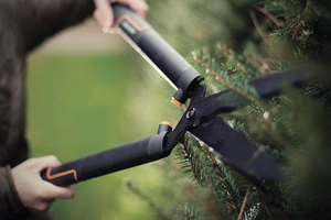 Cutting & Pruning